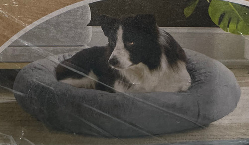 Renue Sloped Donut Pet Bed 35" x34"