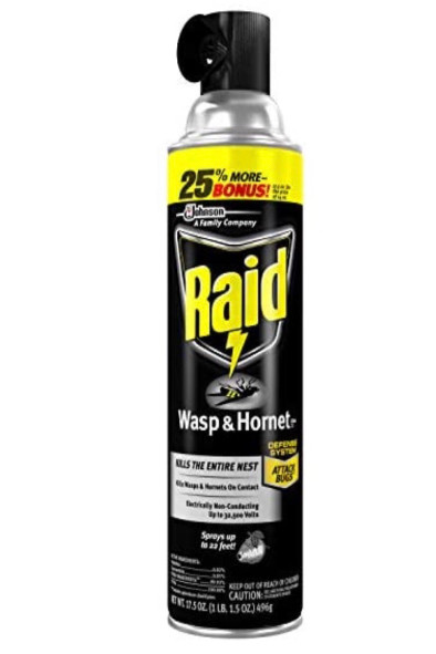 Raid Wasp & Hornet Killer 33, 17.5 oz