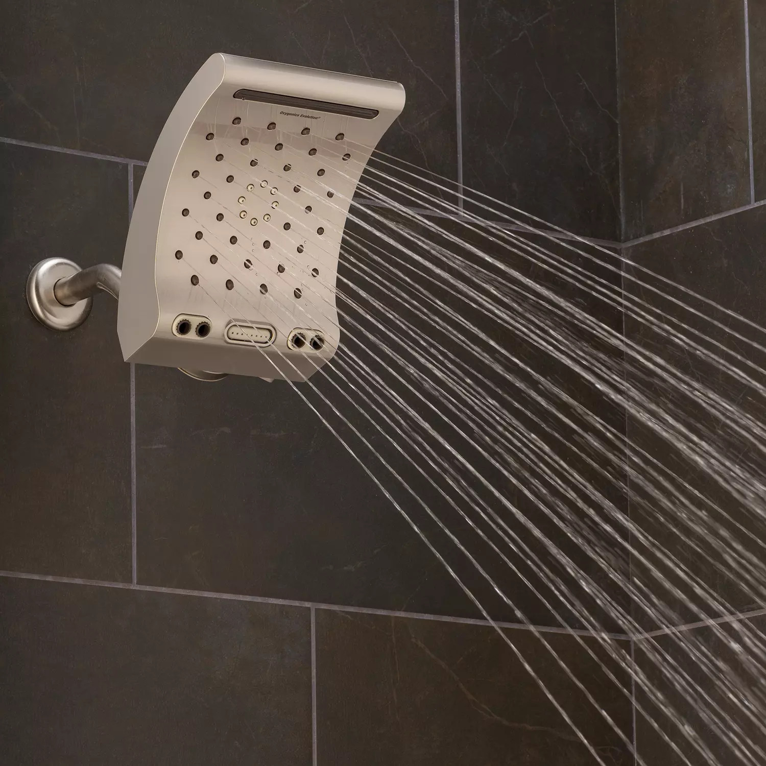 Oxygenics Evolution Rain Shower Head