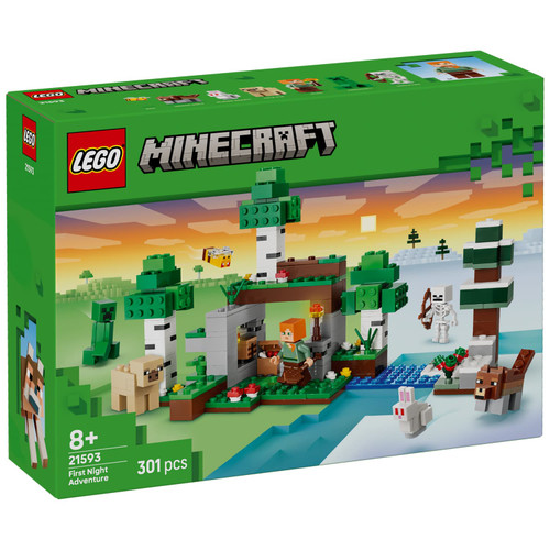 LEGO Minecraft First Night Adventure 21593