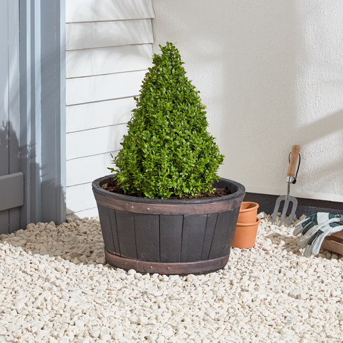 Oakwood Barrel Planter 50cm
