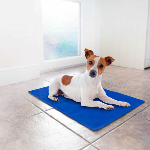 Pet Cooling Mat - Small