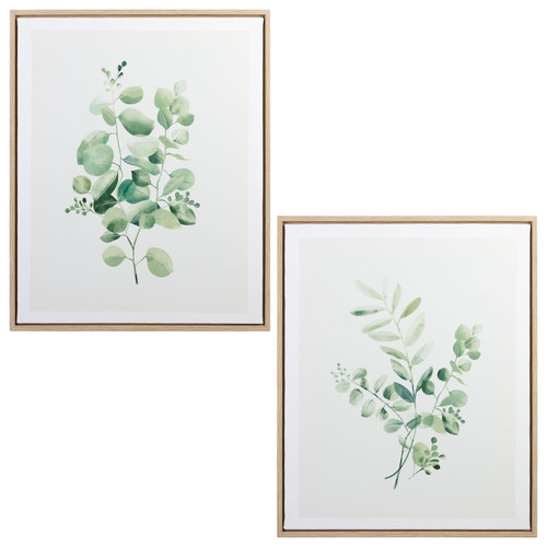 Eucalyptus Print Canvas - Assorted
