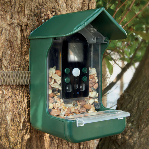 Camera Bird Feeder