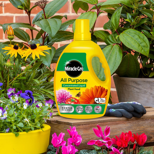 Miracle Gro - All Purpose Concentrated Liquid Plant Food 2.5L