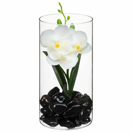 Orchid in Glass Jar - White