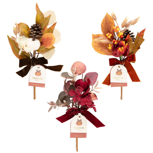 Harvest Autumnal Pick - Assorted