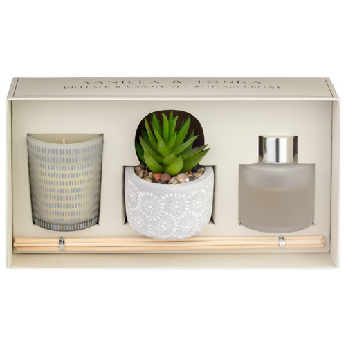 Vanilla & Tonka Candle & Diffuser Set With Succulent