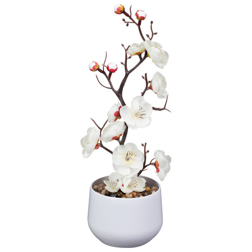 Tall Blossom in Pot - White