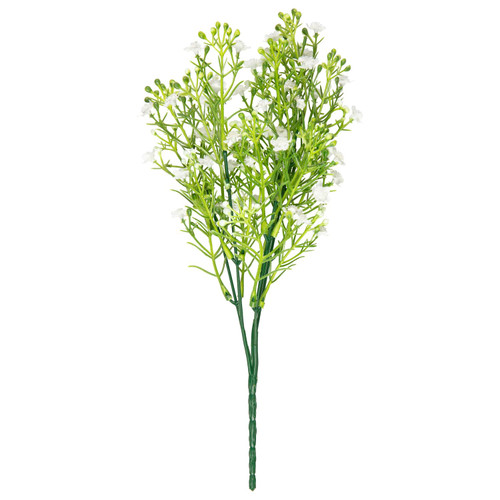 Gypsophila Bunch - White