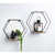 Michigan Hexagon Shelf Set 2pk - Black
