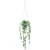 Hanging Trailing Plant in Ceramic Pot