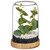 Eucalyptus in Rounded Glass Jar