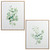 Eucalyptus Print Canvas - Assorted