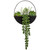 Eden Life Round Trailing Plant