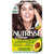 Garnier Nutrisse Creme Permanent Hair Dye - Dark Brown