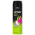 Lynx 48H Body Spray 200ml - Epic Fresh