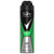 Sure Men Quantum Dry Anti Perspirant 250ml