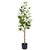 Rose Tree - White