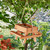 Picnic Table Bird Feeder
