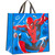 Kids Carry Bag - Assorted