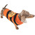 Pumpkin Halloween Dog Outfit - Small