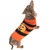 Pumpkin Halloween Dog Outfit - Large