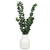 Small Ribbed Ceramic Vase with Eucalyptus