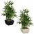 Artificial Bamboo Plant in White Pot