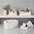Ribbed Scallop Storage Box with Handle