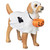Fancy Dress Halloween Dog Ornament - Assorted