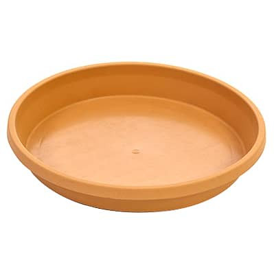 Ascot Saucer Terra - Small