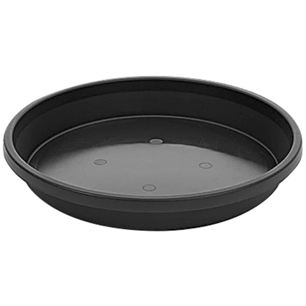 Saucer Planter 36cm - Black
