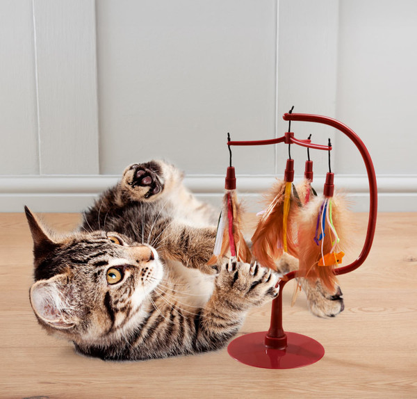 Spinning Feather Toy