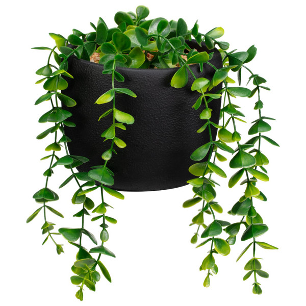 Stone Pot With Hanging Foliage