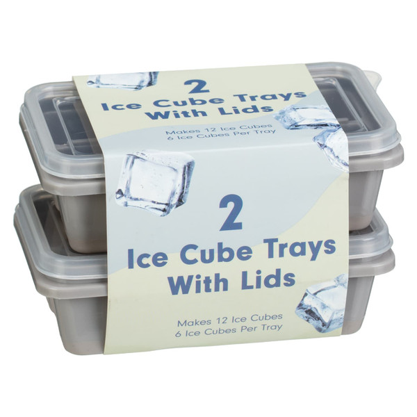 Ice Cube Trays With Lids 2pk