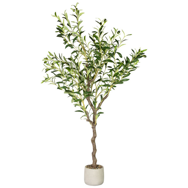 Olive Tree In Pot - Grey