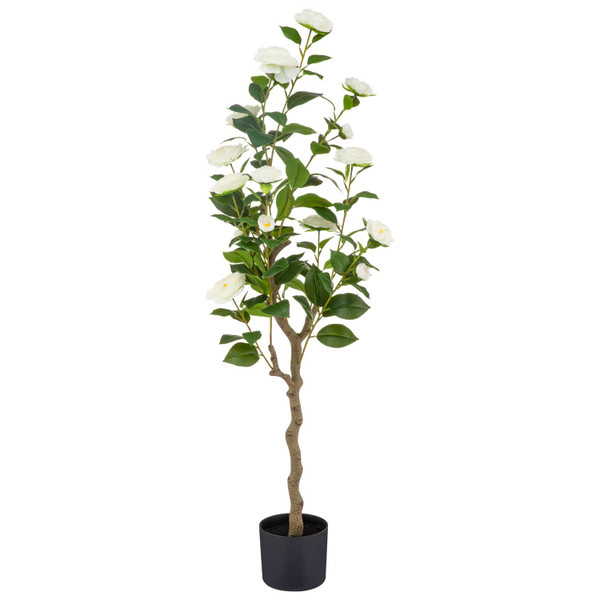 Rose Tree - White