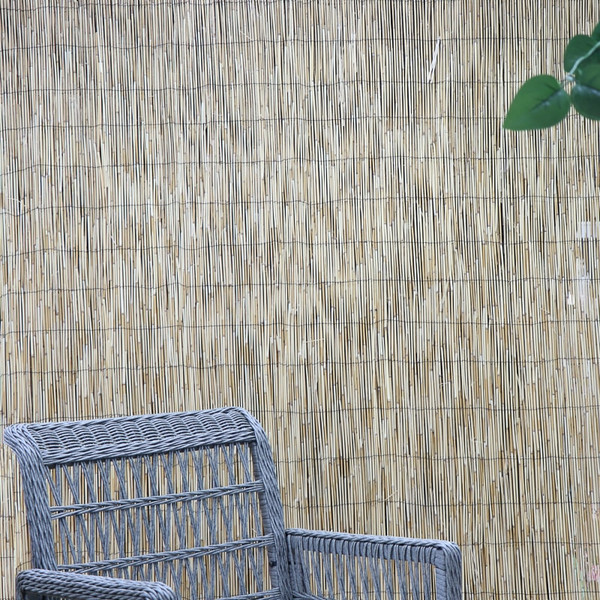 Peeled Reed Screening 100 x 300cm
