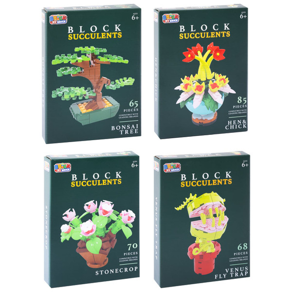 Brick by Brick Block Succulents - Assorted