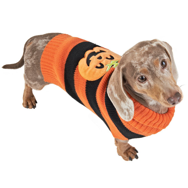 Pumpkin Halloween Dog Outfit - Large