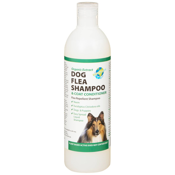 Paragon Flea Shampoo 250ml