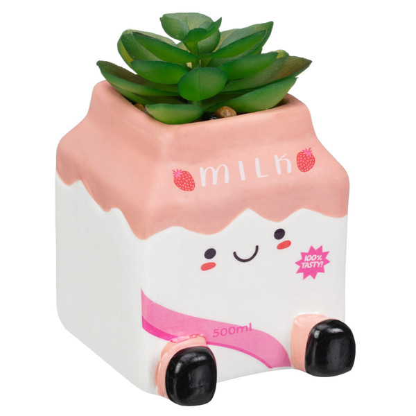 Fun Drink Succulent - Strawberry Milk