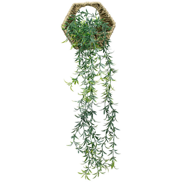 Hanging Plant in Hexagonal Woven Pot