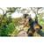 Product thumbnail view 5