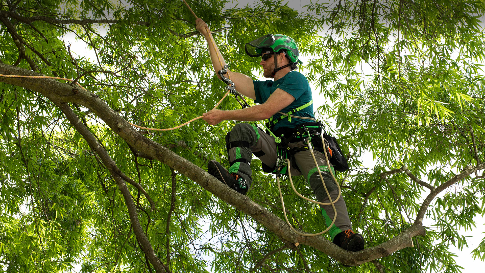 How to Pick the Best Tree Climbing Gear for Arborists 