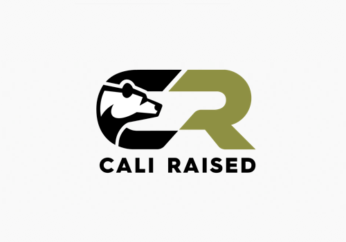 The Cali Raised LED logo represents what they’ve evolved into as a brand: a force that won’t be stopped when it comes to bringing the best off-road products for your Toyota.
