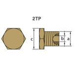 Tecnoseal 02012TP - Tecnoseal Aifo FPT Iveco Pencil Anode Brass Plug 