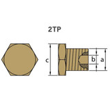 Tecnoseal 02053TP - Tecnoseal Bukh Brass Plug 1/4" BSPT 17mm head 