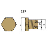 Tecnoseal 02017TP - Tecnoseal VM or Aifo FPT Iveco Brass Plug for Pencil Anode 8093454 